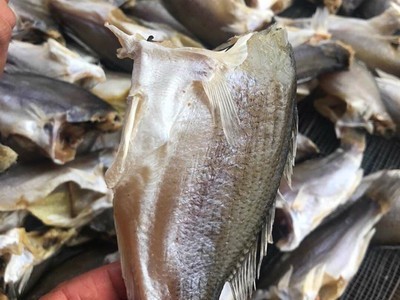 深海鲈鱼干 跑江湖展会地摊深海鲈鱼干干鱼海产品干货图3