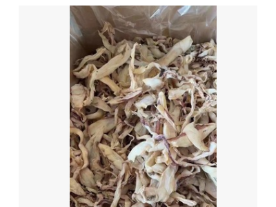 北海鱿鱼片丝跑江湖地摊鱿鱼干片丝鱿鱼丝网红鱿鱼片鱿鱼干图4