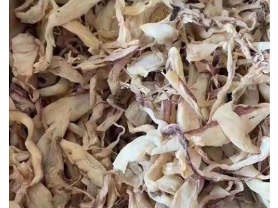 北海鱿鱼片丝跑江湖地摊鱿鱼干片丝鱿鱼丝网红鱿鱼片鱿鱼干图3