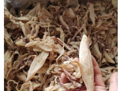 北海鱿鱼片丝跑江湖地摊鱿鱼干片丝鱿鱼丝网红鱿鱼片鱿鱼干图2