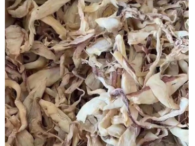 北海鱿鱼片丝跑江湖地摊鱿鱼干片丝鱿鱼丝网红鱿鱼片鱿鱼干图5