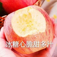 【产地货源】山西红富士苹果 现摘现发 冰糖心10斤 水果一件代发