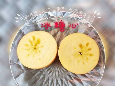 【产地货源】山西红富士苹果 现摘现发 冰糖心10斤 水果一件代发图4