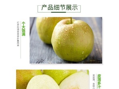 【一件代发】山西玉露香梨 皮薄多汁新鲜采摘5/10斤产地货源图2
