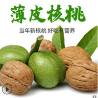 【产地货源】山西青皮核桃 鲜核桃嫩核桃薄皮 一件代发核桃批发