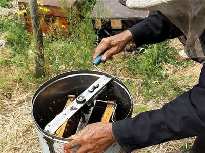 沂蒙山蜂蜜百花蜜土蜂蜜沂蒙山桃园自产现取现发一件代发图3