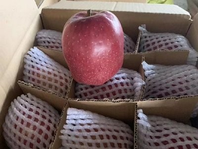 山东红薯粉条粉丝5斤手工制作整箱代发一件包邮口感润滑纯正图2