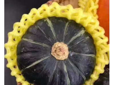 贝贝南瓜礼盒装辅食源种品质口感粉糯【惠和一号】5斤包邮农产品图3