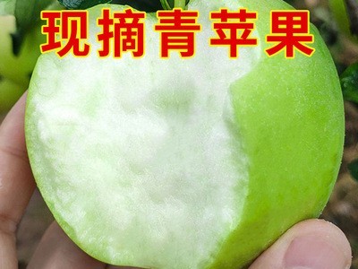 新鲜嘎啦现摘青苹果批发脆甜应季水果孕妇苹果10斤果子新鲜水果图2