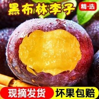 现货批发水果黑布林李子新鲜水果现摘李子黄肉脆李整箱大果批发