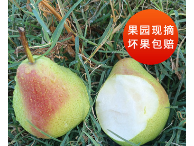 半边红梨应季新鲜水果脆梨酥梨现摘现发梨子甜梨整箱水果图3