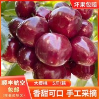 现货农业新鲜水果樱桃批发 山东大樱桃车厘子5斤水果樱桃