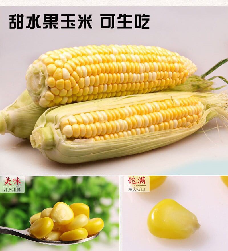 微信图片_20181213104434
