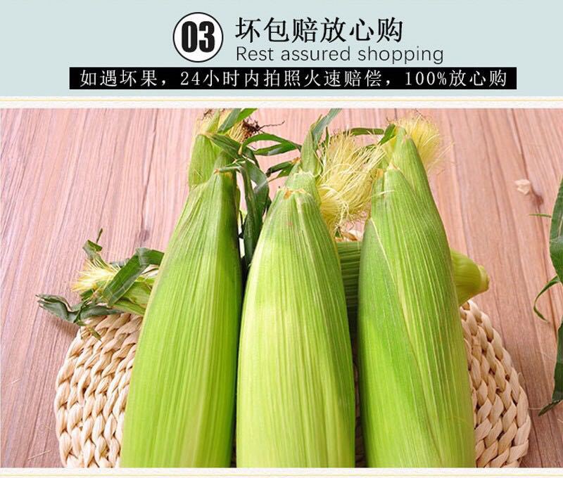 微信图片_20181213104417