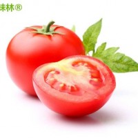 自然熟番茄西红柿沙瓤新鲜蔬菜水果产地直发常年供应电商代发批发