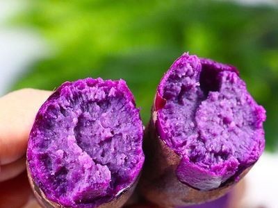 紫罗兰紫薯新鲜现挖营养粗粮非红薯六鳌红薯黄心红心番薯代发批发图2