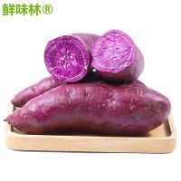 紫罗兰紫薯新鲜现挖营养粗粮非红薯六鳌红薯黄心红心番薯代发批发