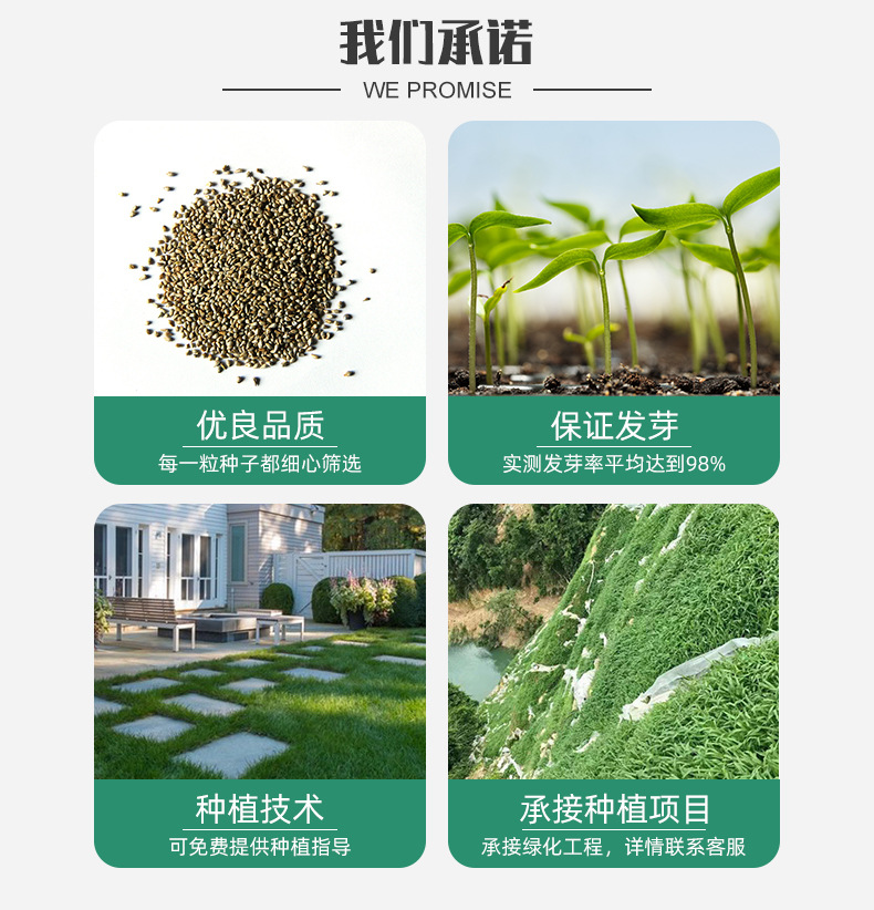 未标题-1_02