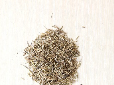 披碱草草籽批发耐旱耐寒耐碱牲畜牧草多年生山坡草地路边牧草种子图4