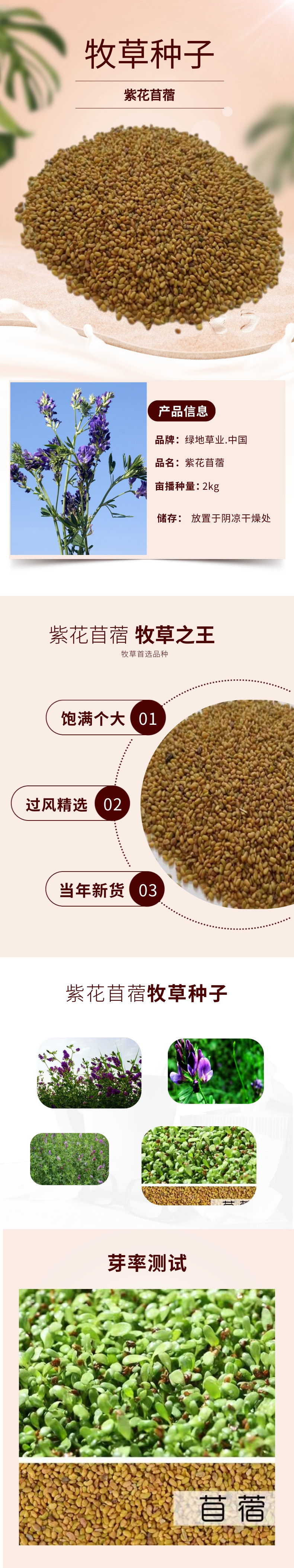 紫花苜蓿详情图@凡科快图