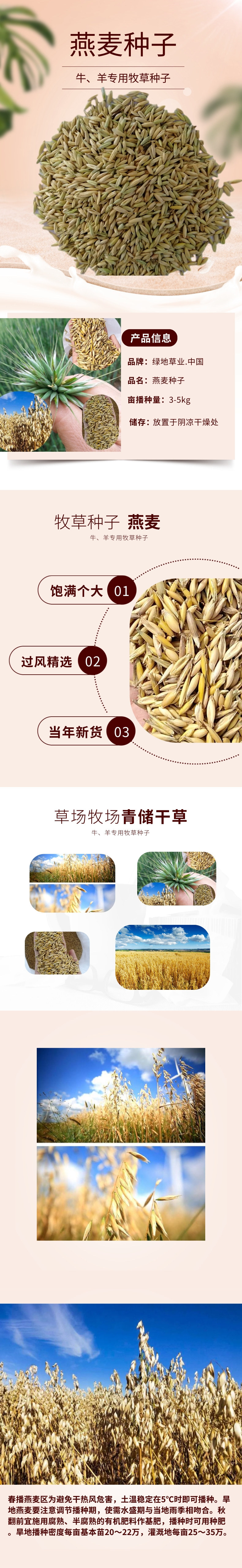 燕麦种子详情@凡科快图
