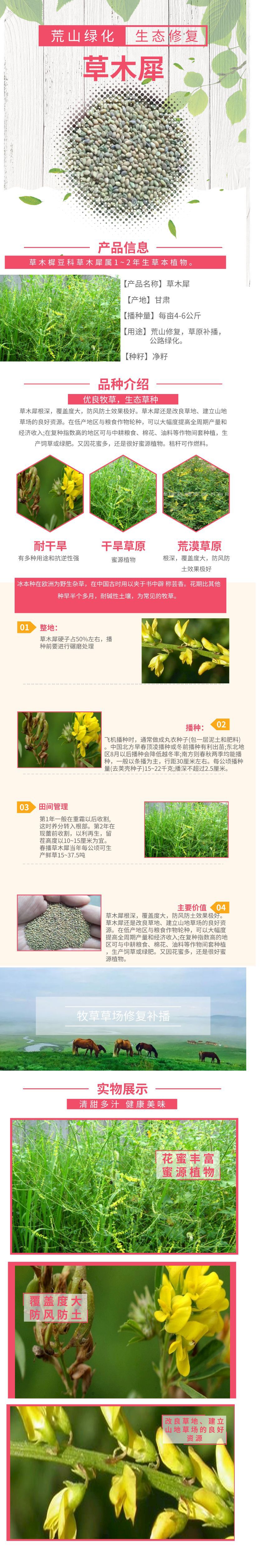 草木犀
