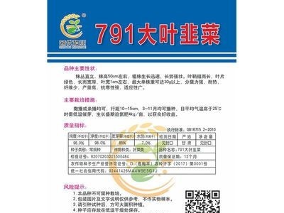 批发菜园蔬菜种子791大叶韭菜10克盆栽阳台院子种子菜籽 厂家直销图5