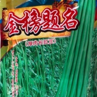 批发蔬菜种子 华赣翠绿长豆角 基地 菜园 菜场种子 400克厂家供应