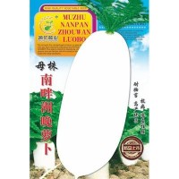 批发菜园蔬菜种子母株南畔洲晚萝卜25克盆栽阳台院子菜籽厂家直销