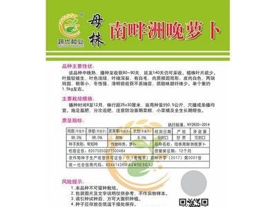 批发菜园蔬菜种子母株南畔洲晚萝卜25克盆栽阳台院子菜籽厂家直销图2