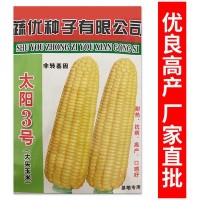 批发菜园蔬菜种子 泰系超甜玉米种子 太阳3号400克装蔬菜基地菜籽