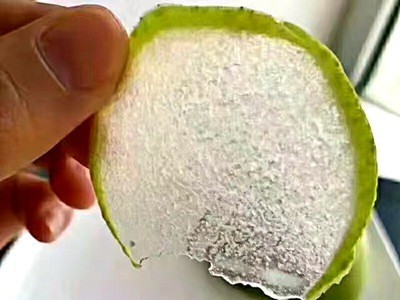 当季正宗砀山皇冠梨5斤装新鲜水果现摘一件代发包邮坏果包赔图2