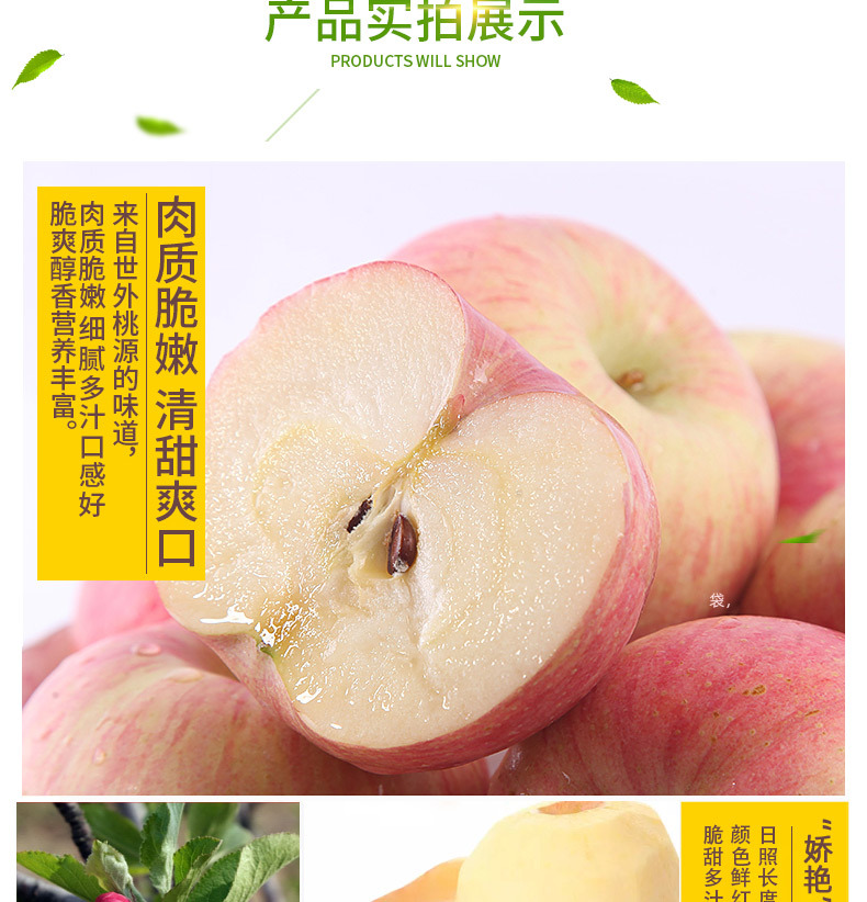 详情_08