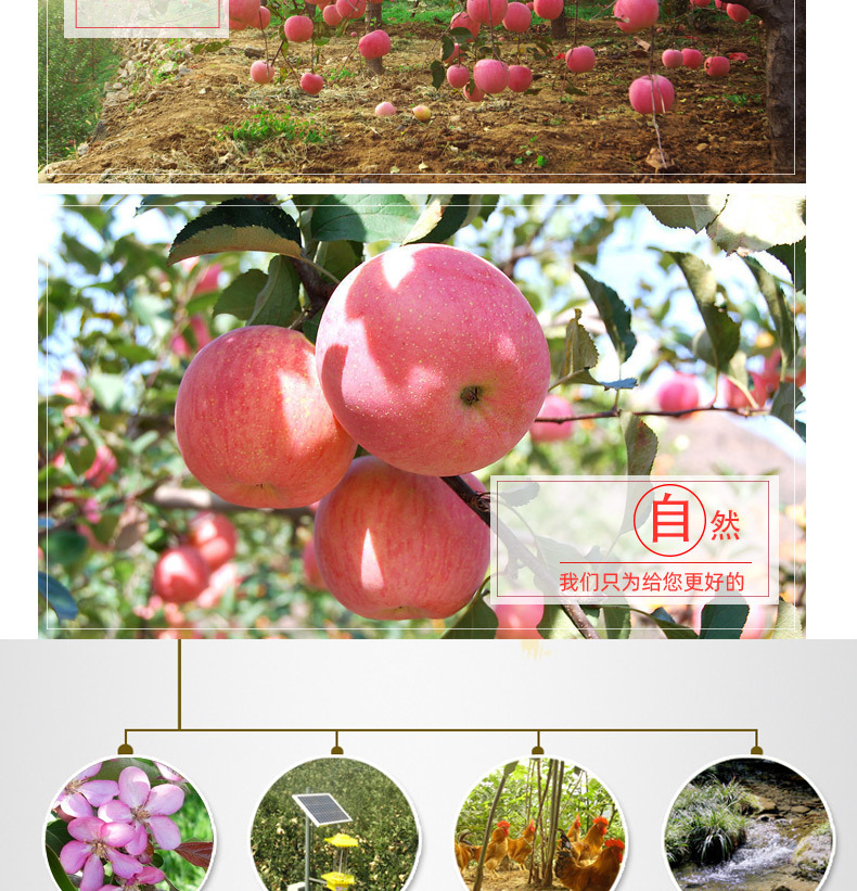 详情_06