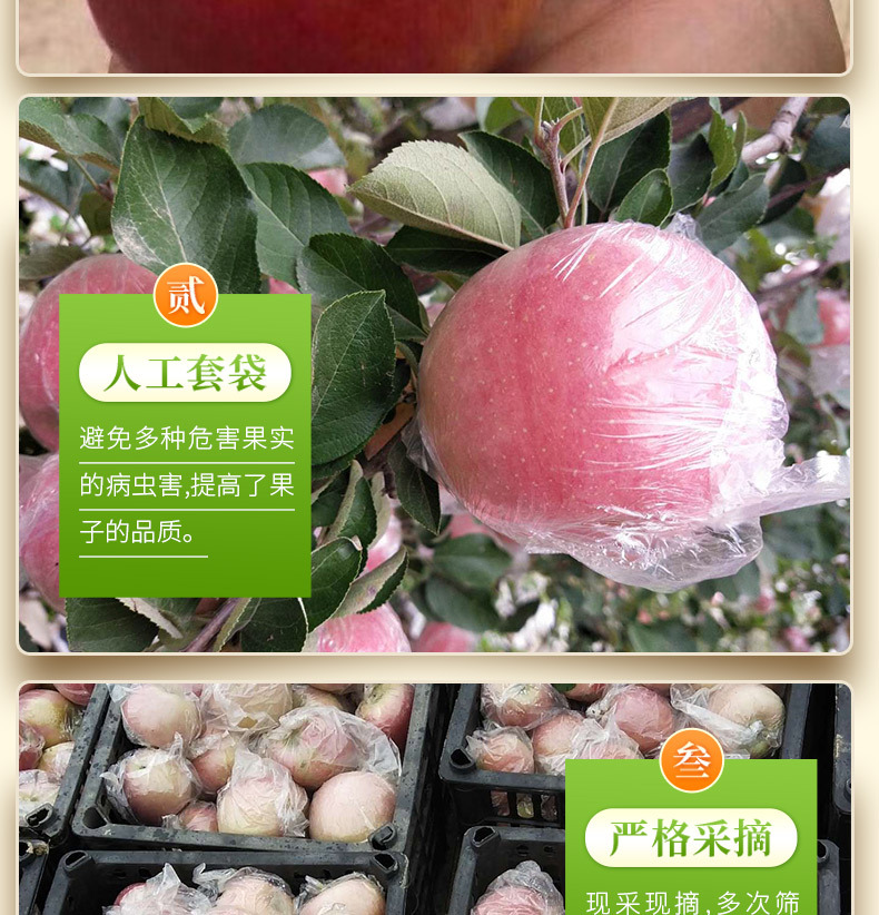 详情_11