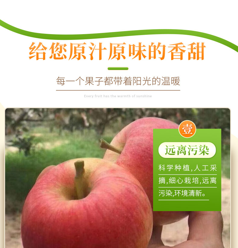 详情_10