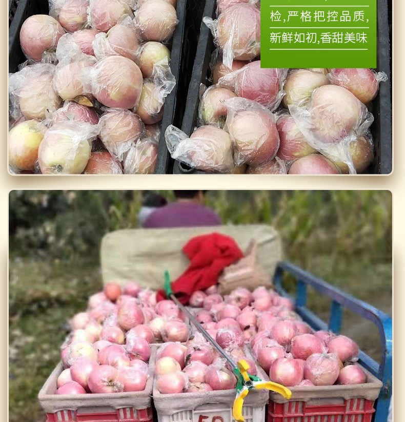 详情_12