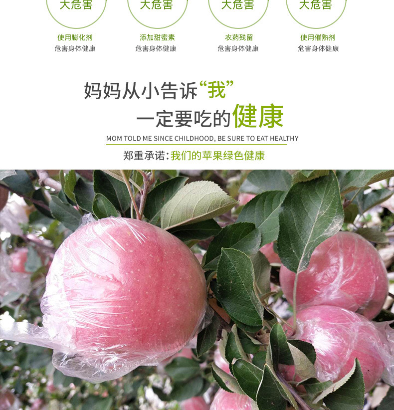 详情_03