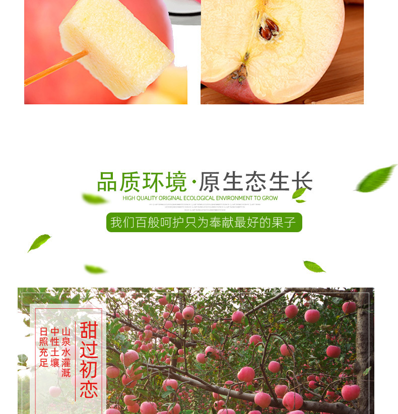 详情_05