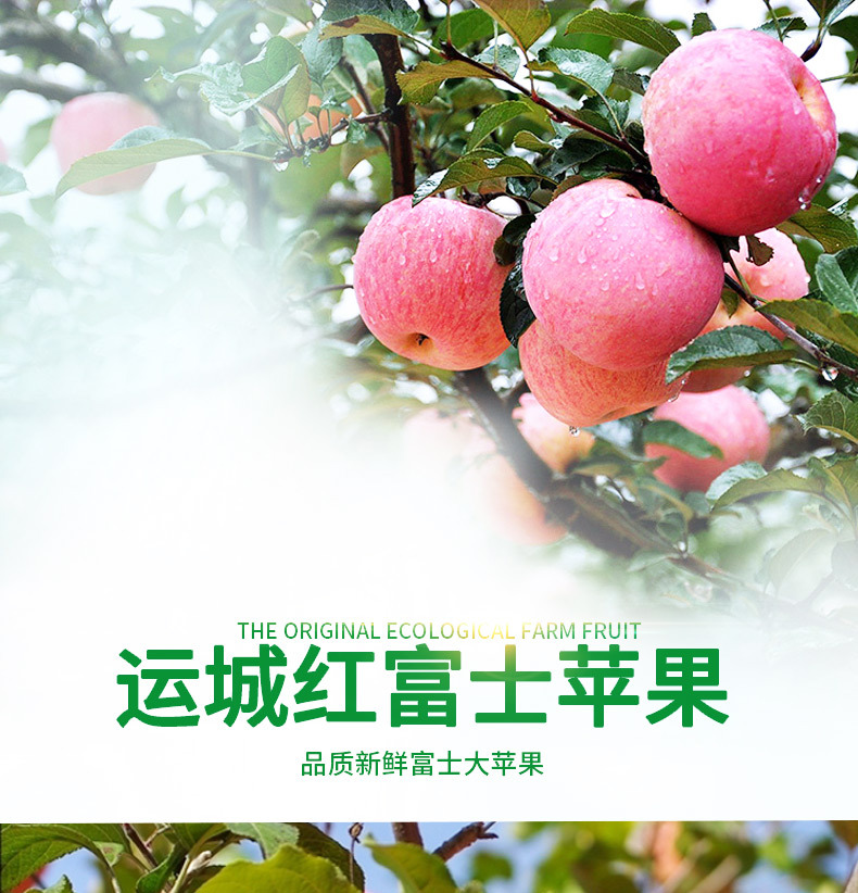 详情_01