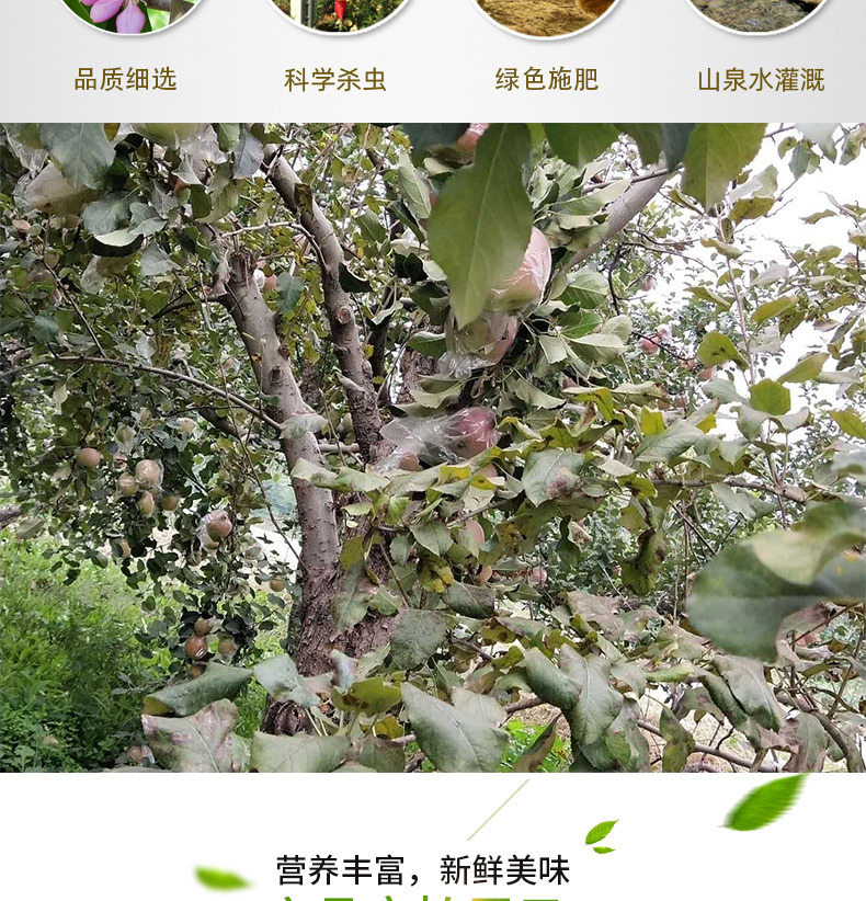 详情_07