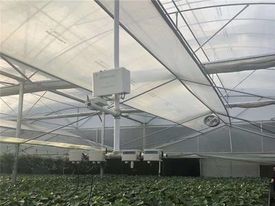无锡连栋大棚骨架花卉温室大棚可加工定制钢材骨架热镀锌钢管图2