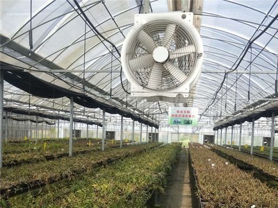 无锡连栋大棚骨架花卉温室大棚可加工定制钢材骨架热镀锌钢管图3