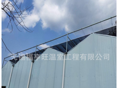 厂家供应智能玻璃温室大棚花卉蔬菜温室大棚智能玻璃大棚温室建设图2