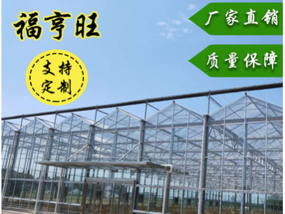 厂家供应连栋大棚 智能玻璃温室建设 植物温室全自动内外遮阳系统图2