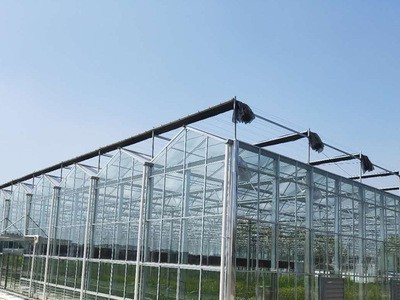 厂家供应连栋大棚 智能玻璃温室建设 植物温室全自动内外遮阳系统图3