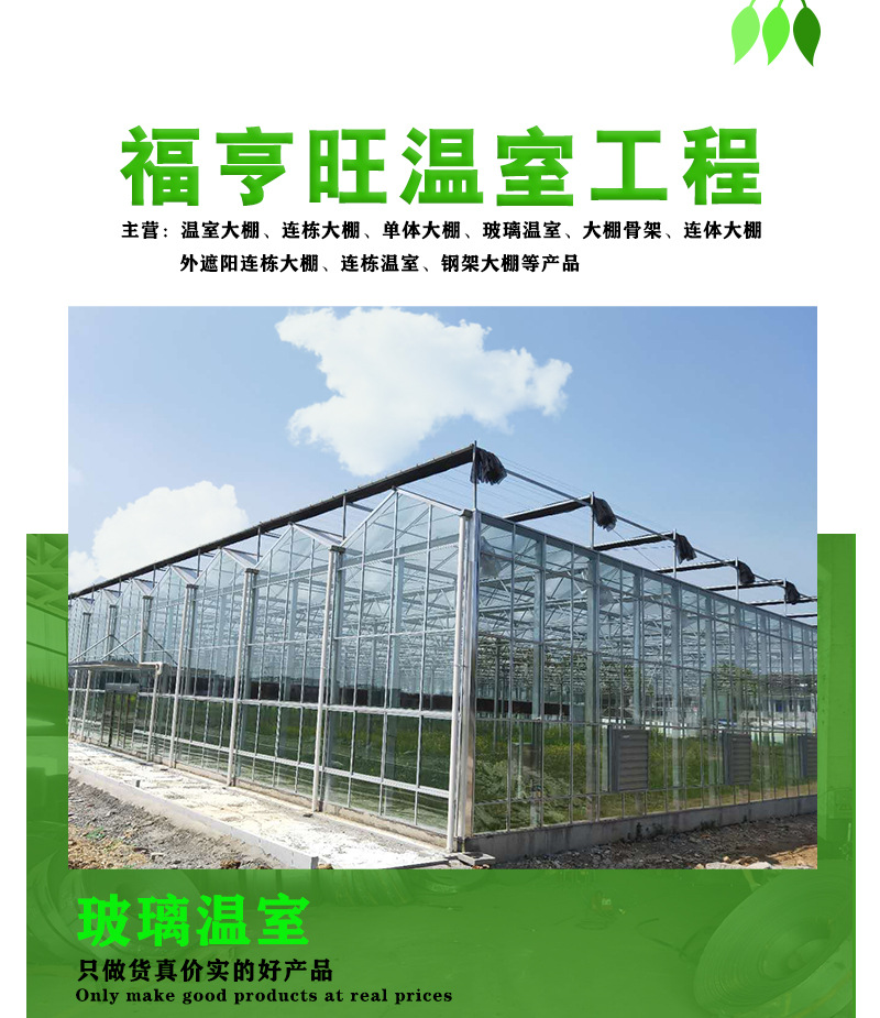 详情_01.jpg