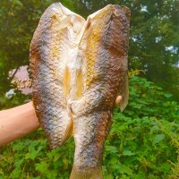 湖北特产非烟熏风干腊鱼咸鱼干腊草鱼干腊味干货500g腌腊食品厂家