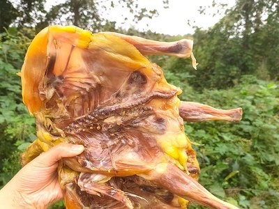 腊鸡厂家湘之忆湖北特产晾晒风吹鸡非烟熏咸鸡风干鸡腊味腊货500g图4