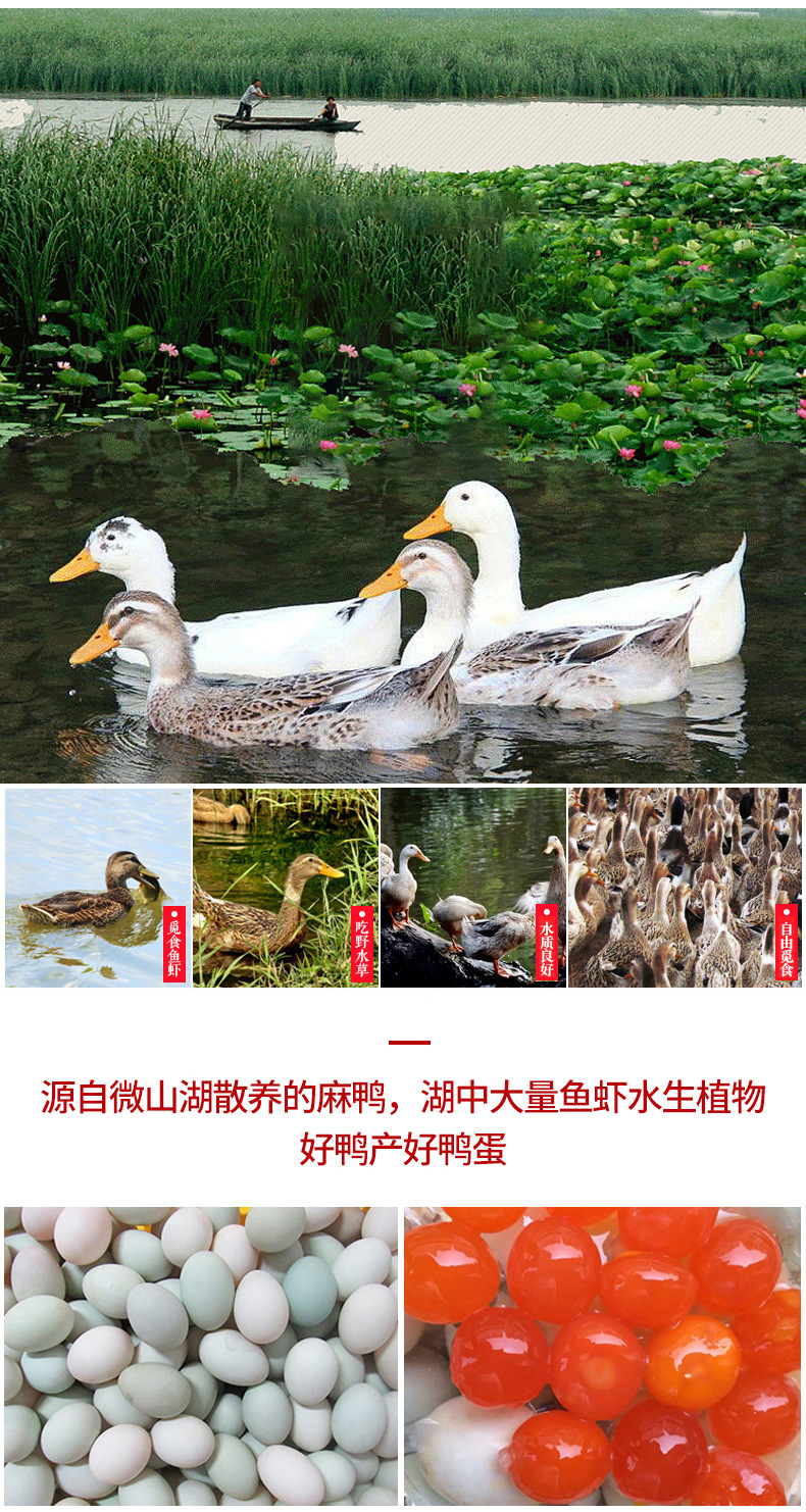 生咸蛋黄详情_05.jpg